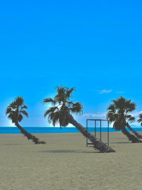 Appartement 4 Personnes Piscine 300 Plage 4Pb287 Le Barcarès Eksteriør bilde